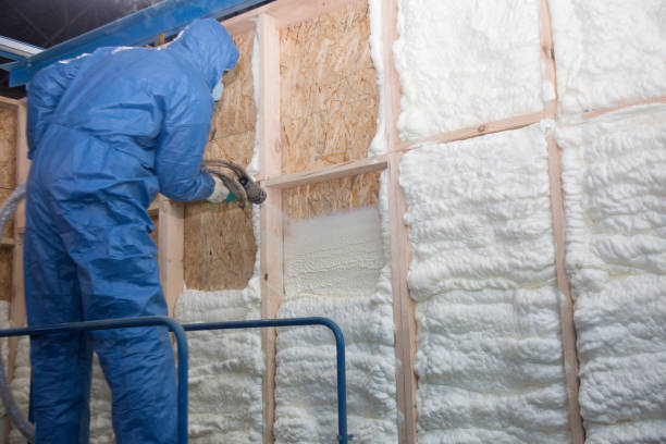 Best Eco-Friendly or Green Insulation Solutions in Groveland, ID